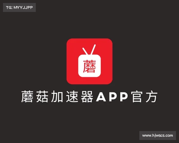 了解蘑菇加速器app官方